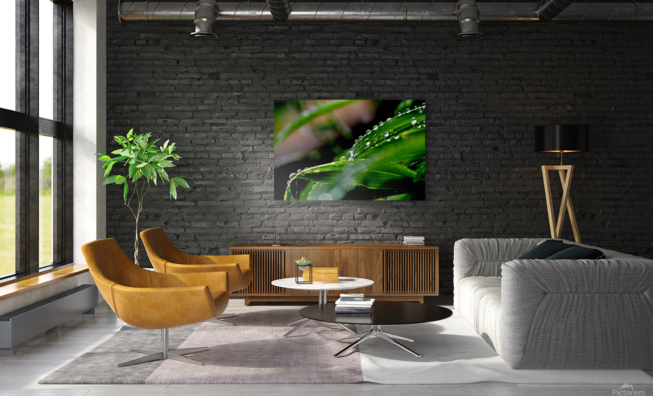 green Reproduction