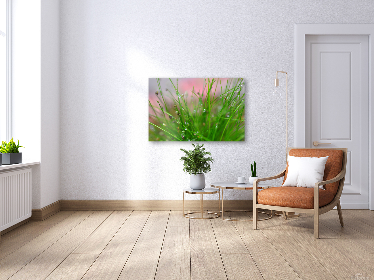 green Reproduction