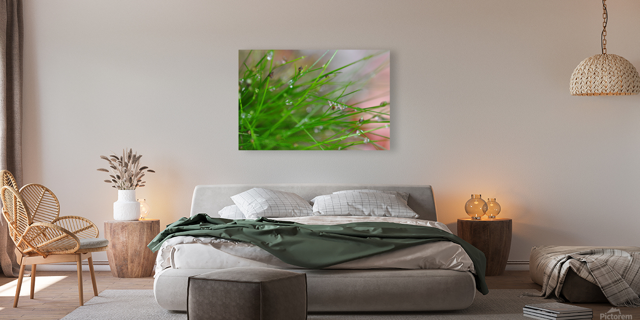 green Reproduction