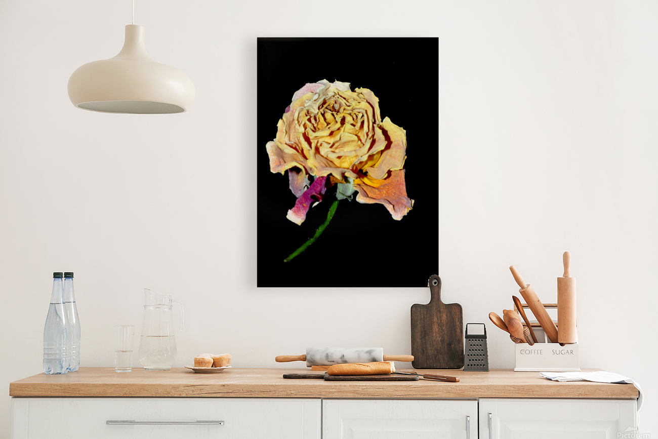 rose Reproduction