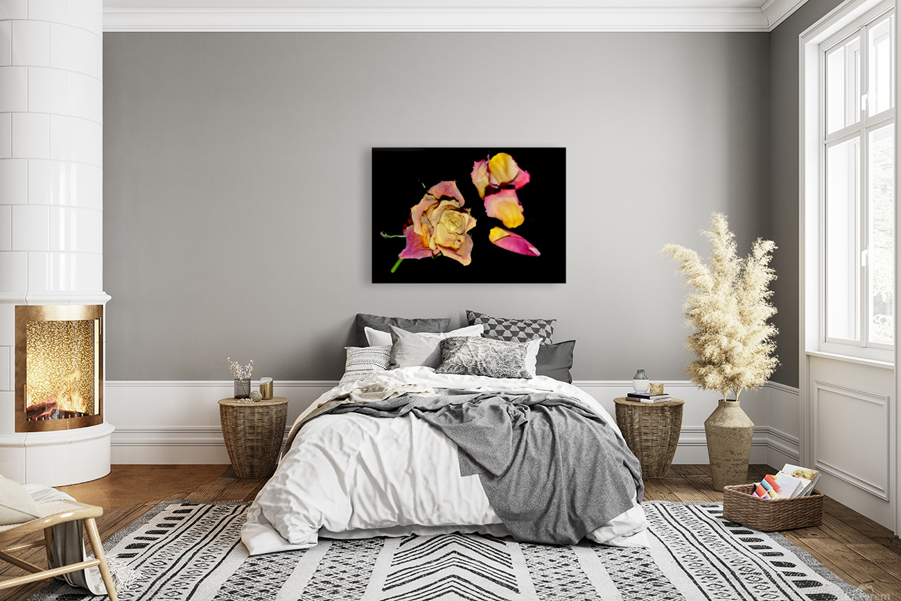 rose Reproduction