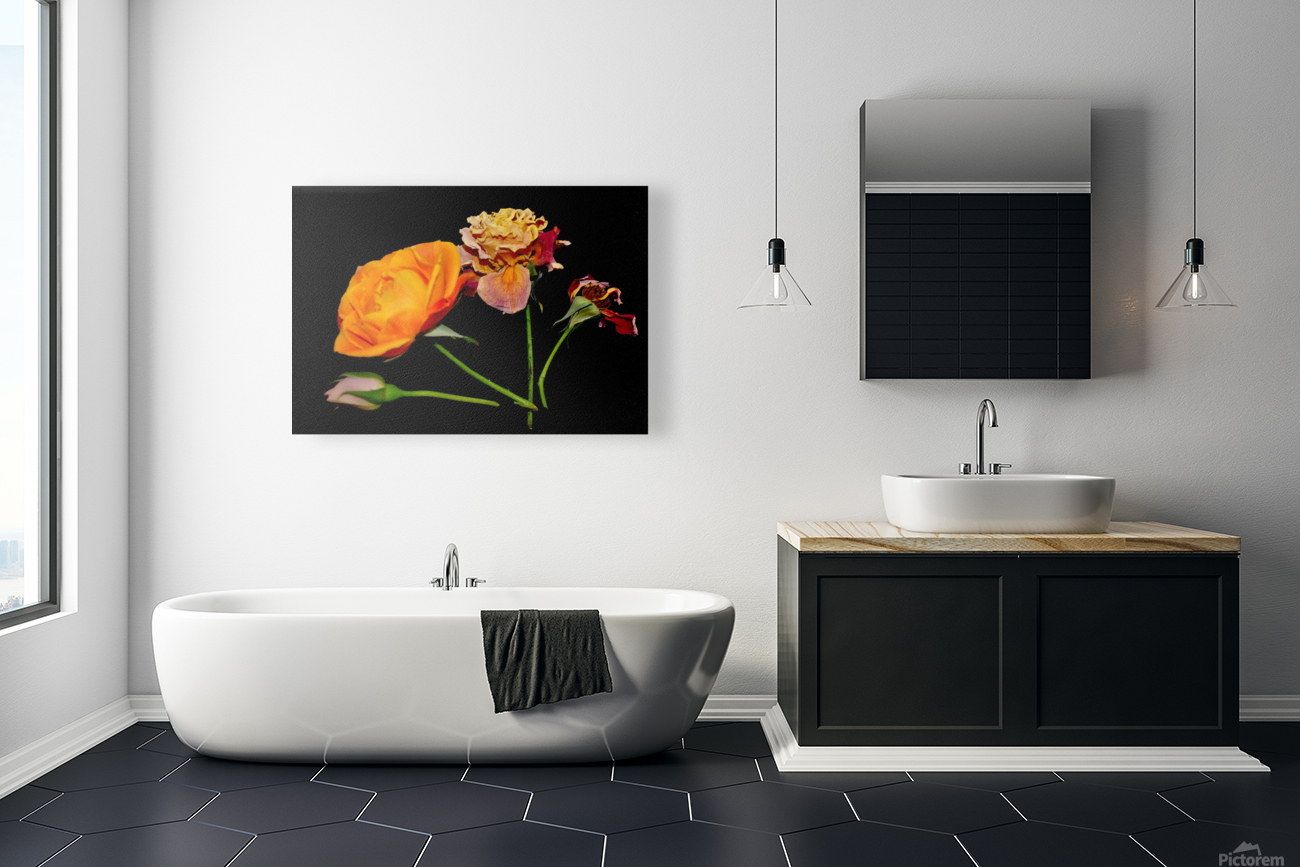 rose Reproduction