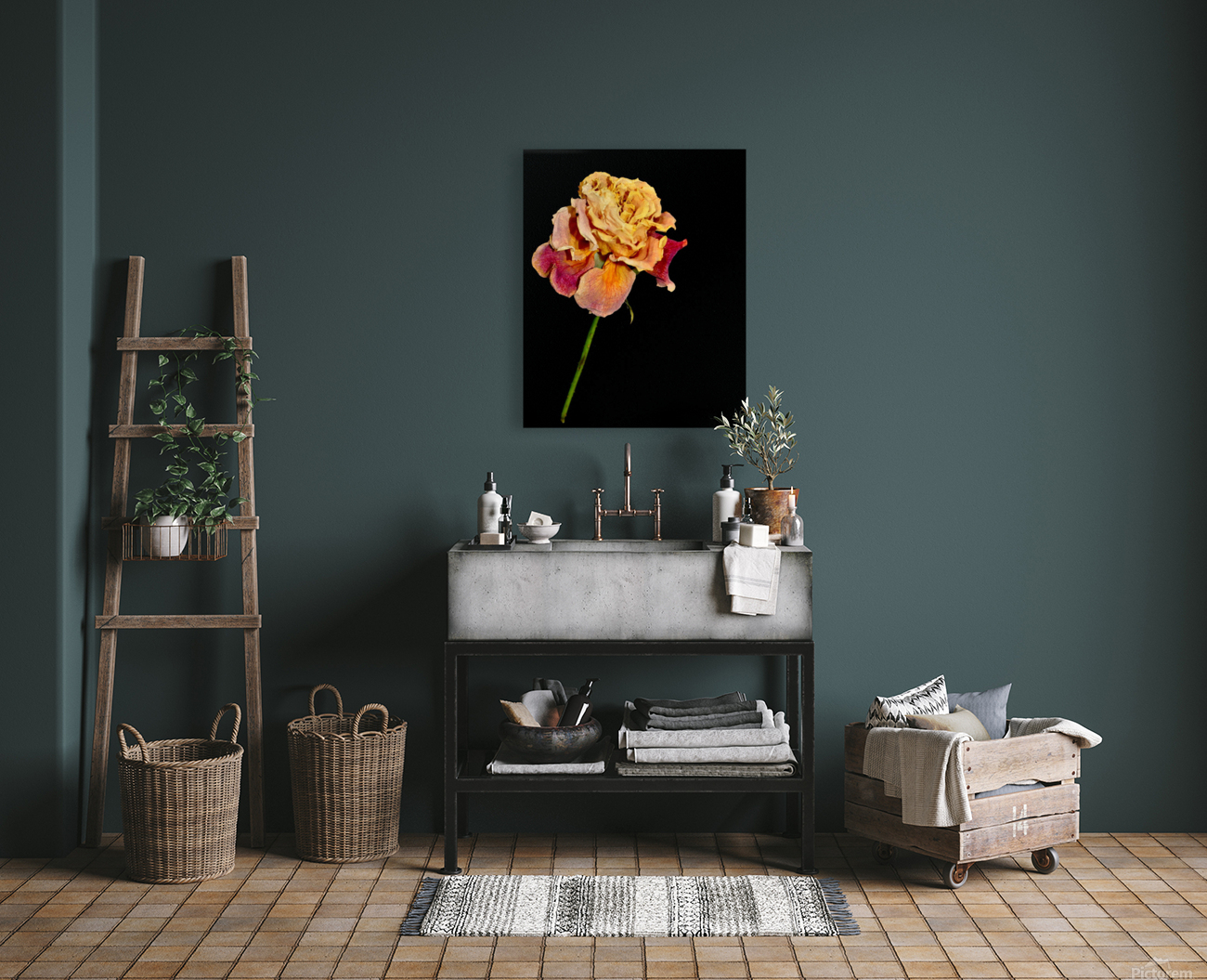 roses Reproduction