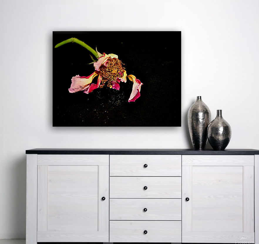 rose Reproduction