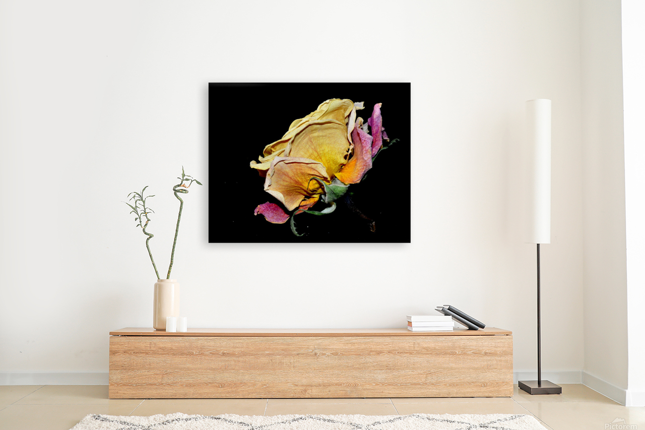 rose Reproduction