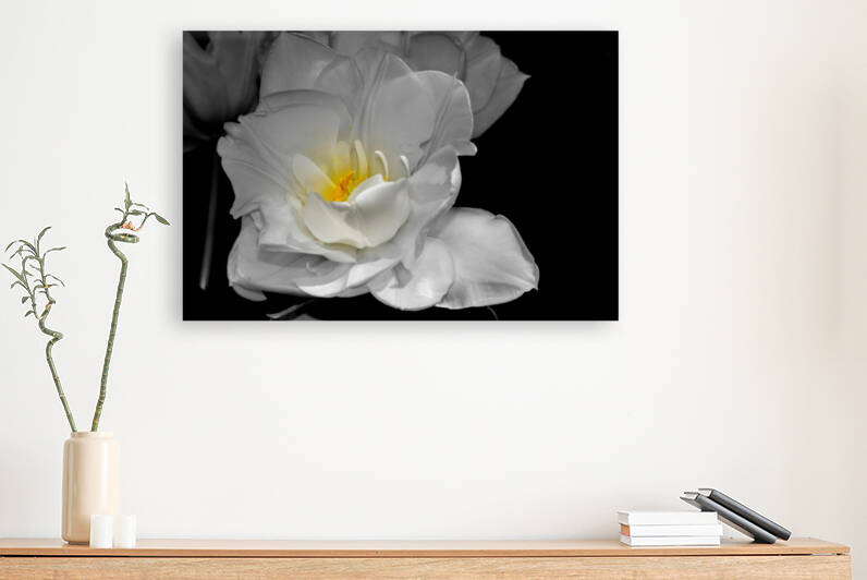 tulipe  by Sylvie Leandre