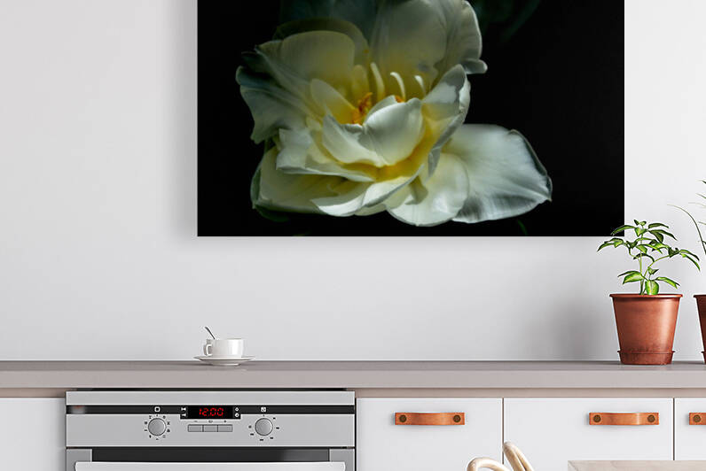 tulipe sur fond noir  by Sylvie Leandre