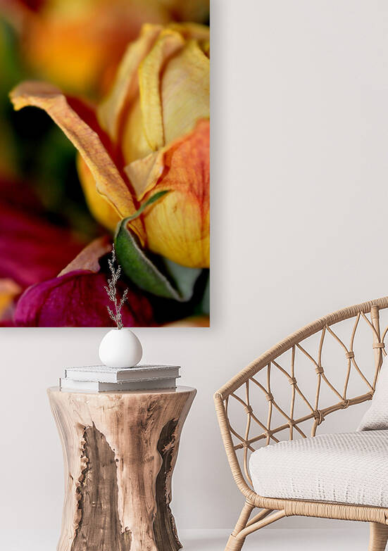 reve de roses Reproduction