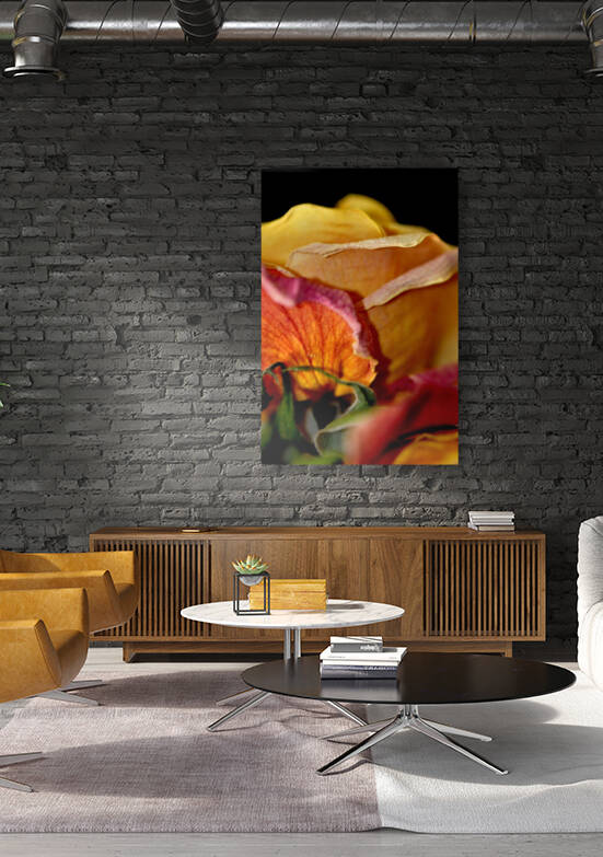 rose Reproduction