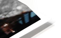 Douceur  HD Metal print