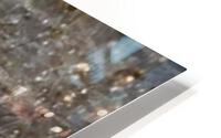 golden drops HD Metal print