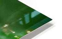 green HD Metal print