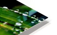 green HD Metal print