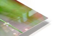green HD Metal print