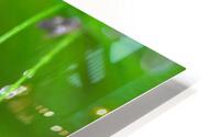 green HD Metal print