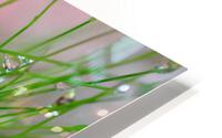 green HD Metal print