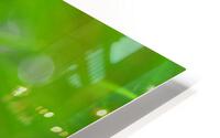 green HD Metal print