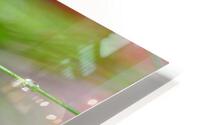 green HD Metal print