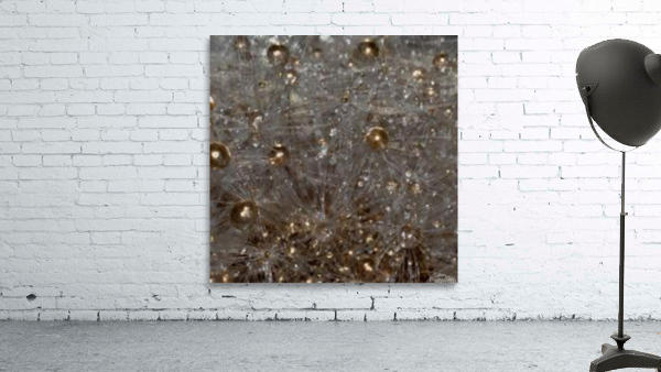 golden drops Wall Preview