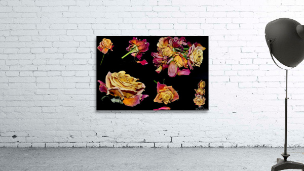 LES ROSES1  Wall Preview