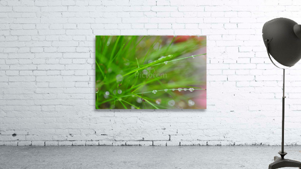 green Wall Preview