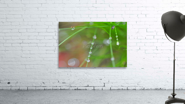green Wall Preview