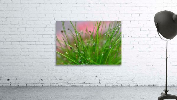 green Wall Preview