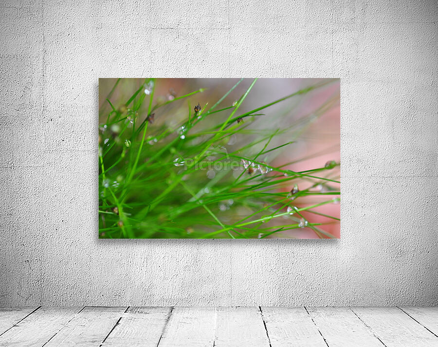 green Wall Preview