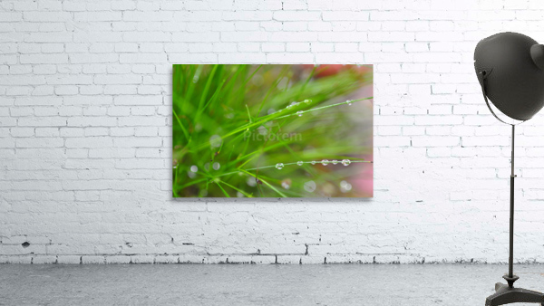 green Wall Preview