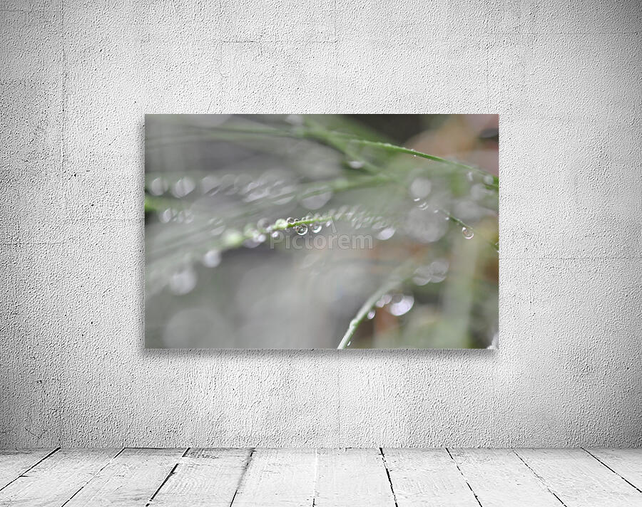 drops Wall Preview