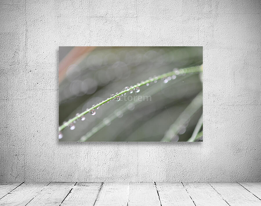 drops Wall Preview