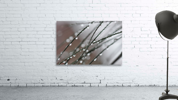 drops Wall Preview