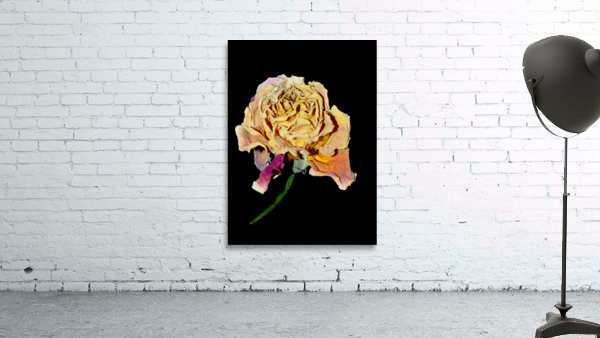rose Wall Preview
