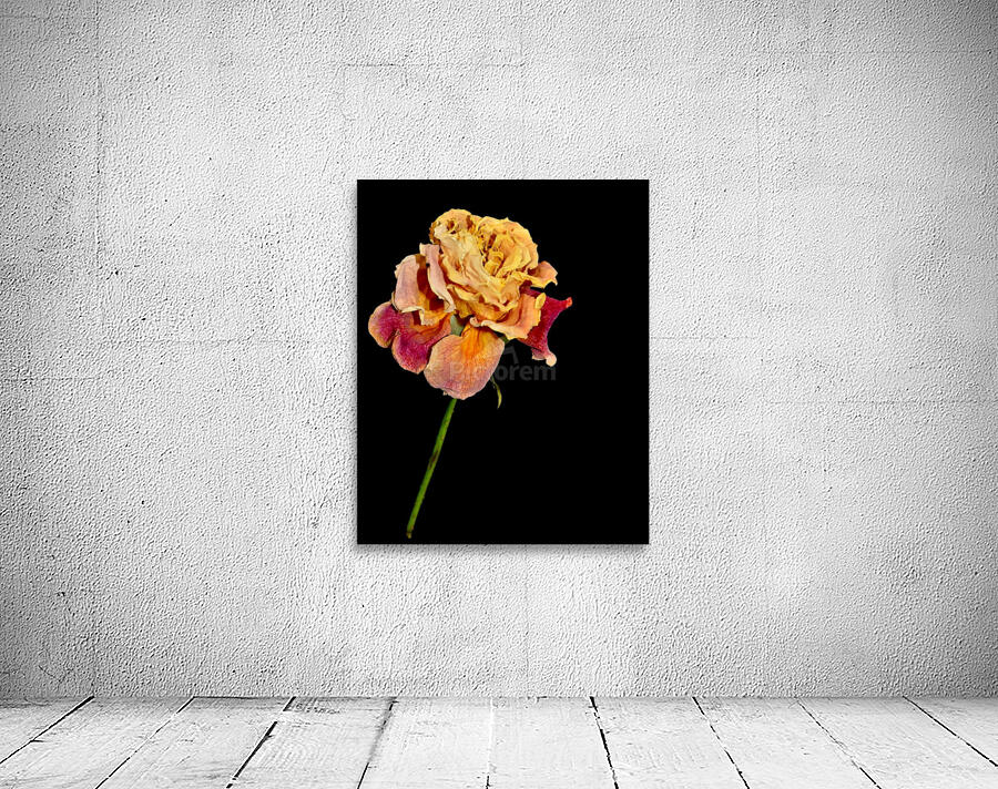 roses Wall Preview