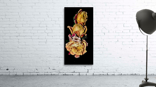roses Wall Preview