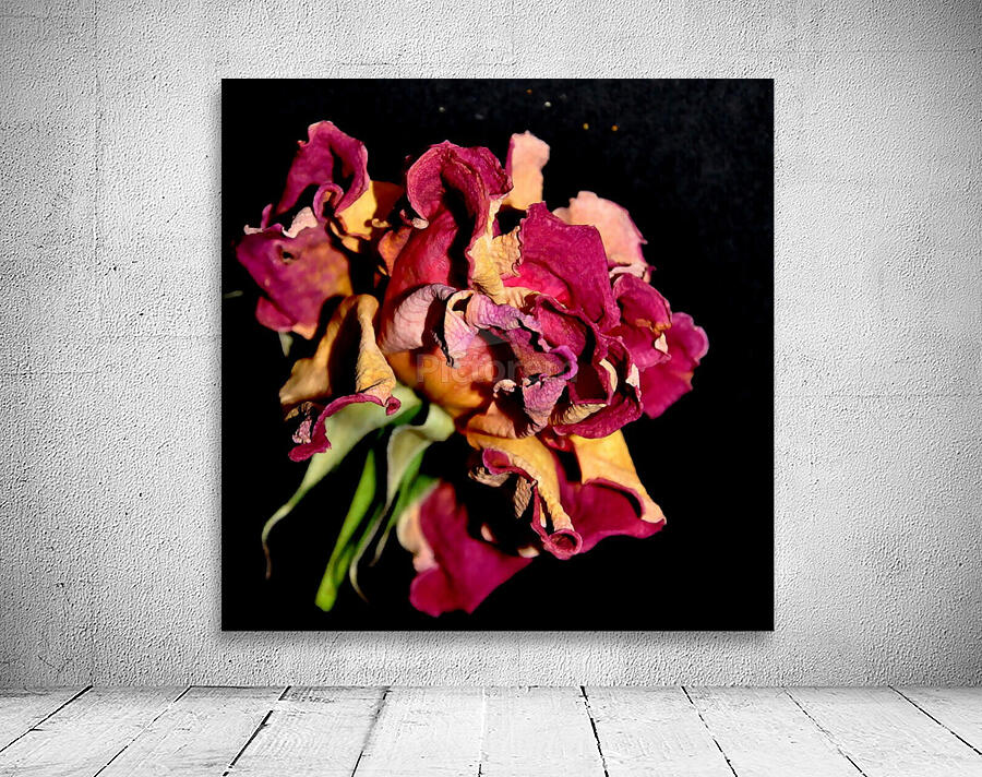 rose Wall Preview