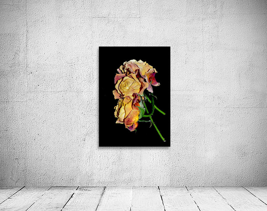 Roses  Wall Preview