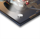 Salian   in the city  Acrylic print