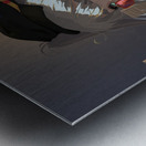 Salian   in the city  Metal print