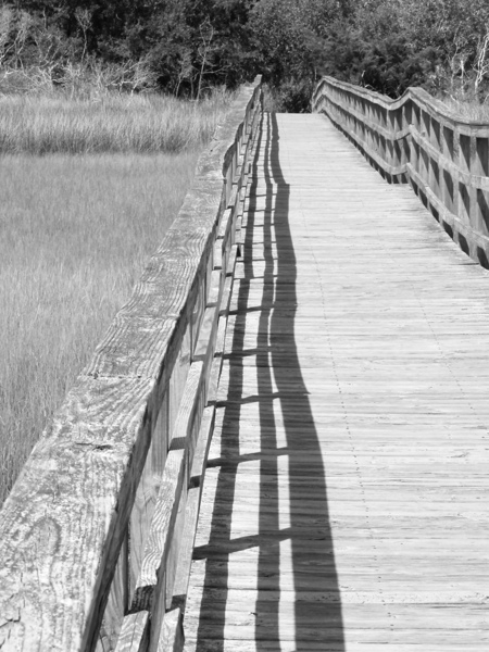 Marsh Walkover  Digital Download