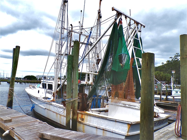 Shrimp Boat Digital Download