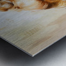 The painting radiates a palpable warmth evoking emotions of desire longing and an unspoken ache for what lies just out of reach. Metal print