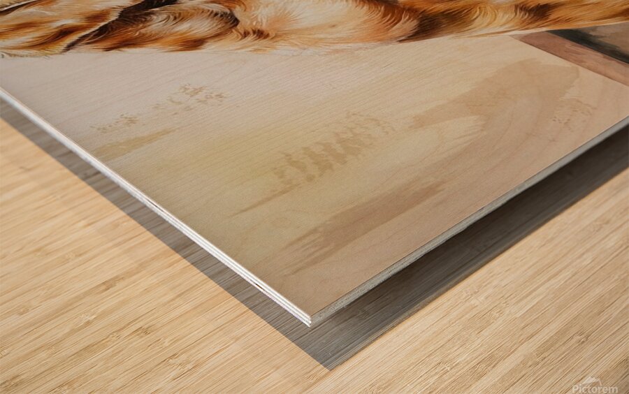 The painting radiates a palpable warmth evoking emotions of desire longing and an unspoken ache for what lies just out of reach. Wood print