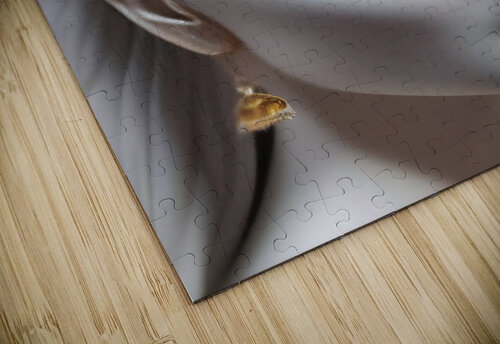 Cherie Darrin Kramer puzzle