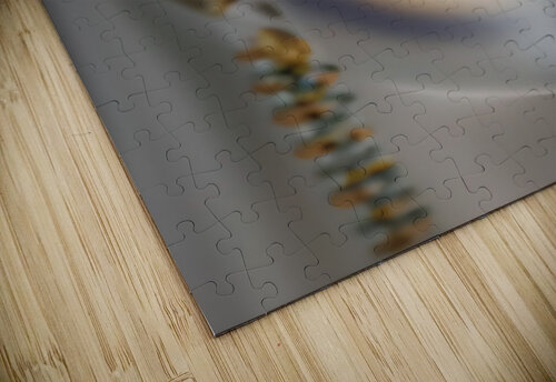 LAPIS  Darrin Kramer puzzle