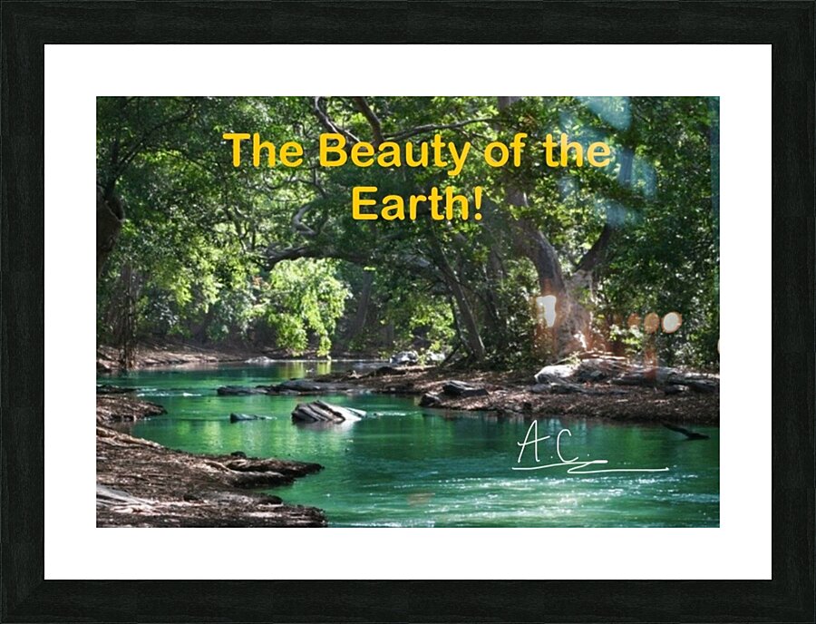 Tonys elevation Frames 1 Picture Frame print