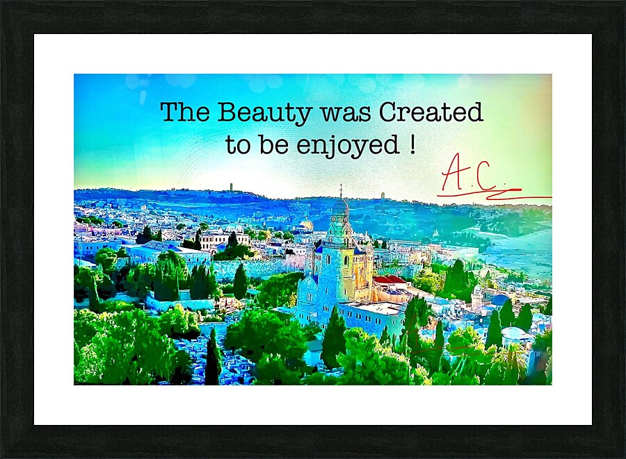 Tonys elevation Frames 2 Picture Frame print