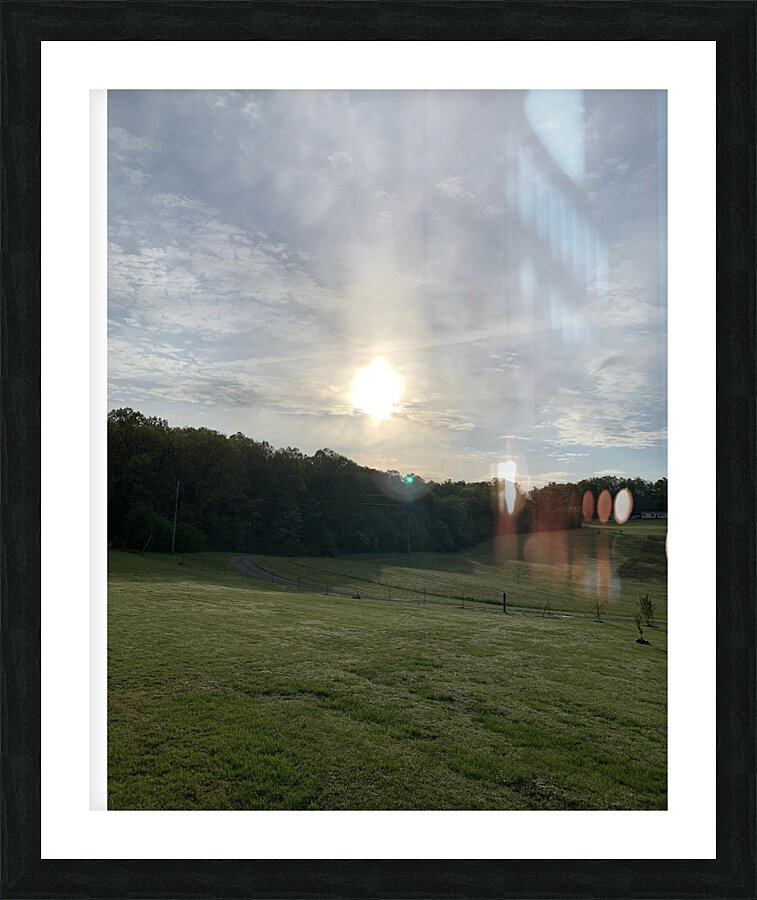 Tonys elevation Frames 3 Picture Frame print
