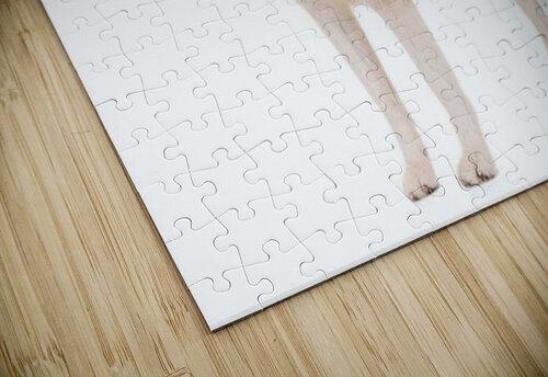 Tonys elevation Frames 3 Anthony Casco puzzle
