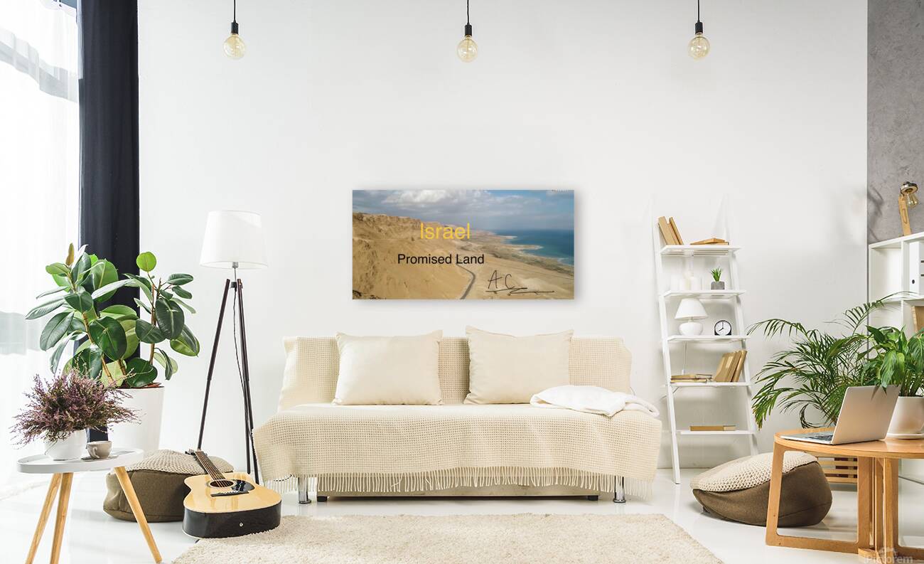 Tonys elevation Frames 1 Reproduction